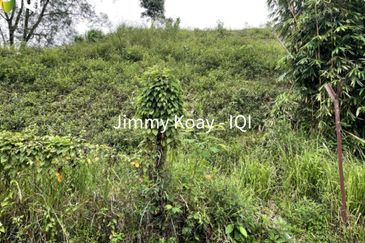 Corner Bungalow Land in Prestigious Taman Duta, Kuala Lumpur