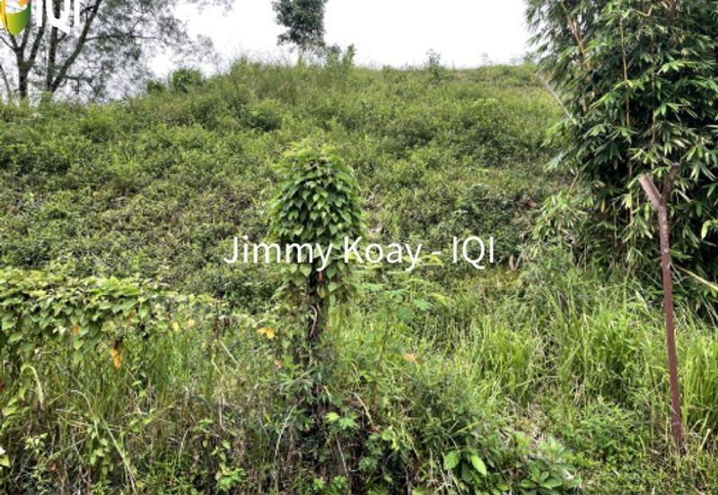 Corner Bungalow Land in Prestigious Taman Duta, Kuala Lumpur