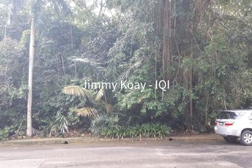 Bukit Ledang (Damansara Height)