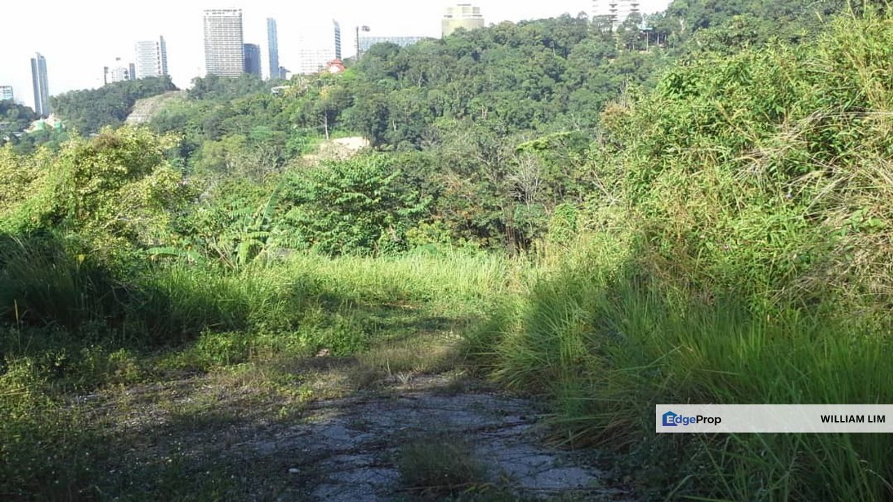 Kampung Sungai Penchala, Kuala Lumpur, Malay Reserved Agricultural Land for Sale, Kuala Lumpur, Kampung Sungai Penchala