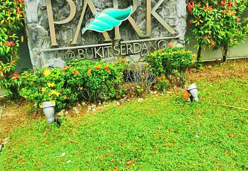 The Park