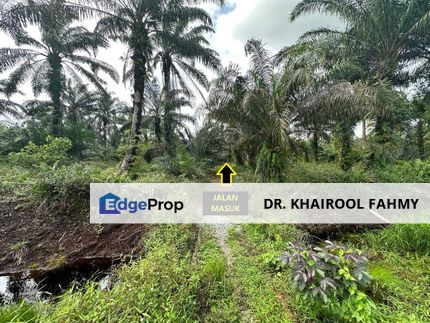 Pontian Penerok (Mukim Air Masin) Tanah Pertanian 4.15 Ekar, Johor, Pontian