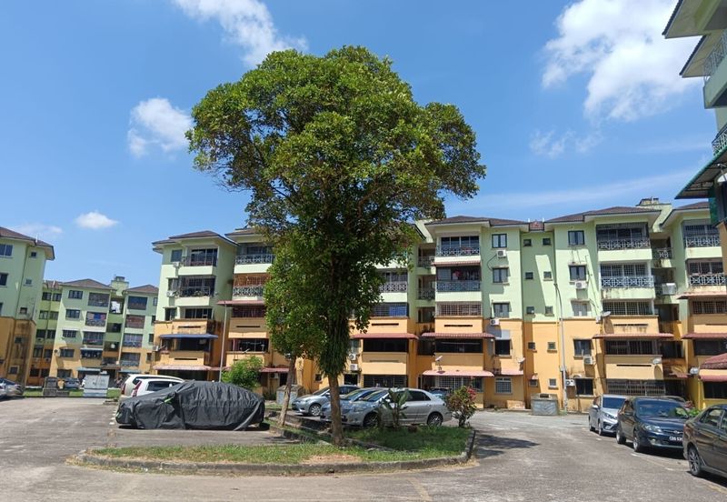 Lily & Jasmine Apartment