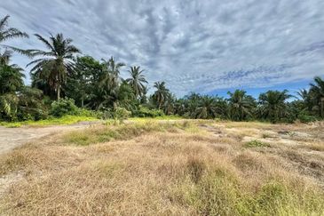 Taman Universiti, Parit Raja
