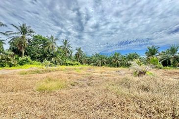 Taman Universiti, Parit Raja