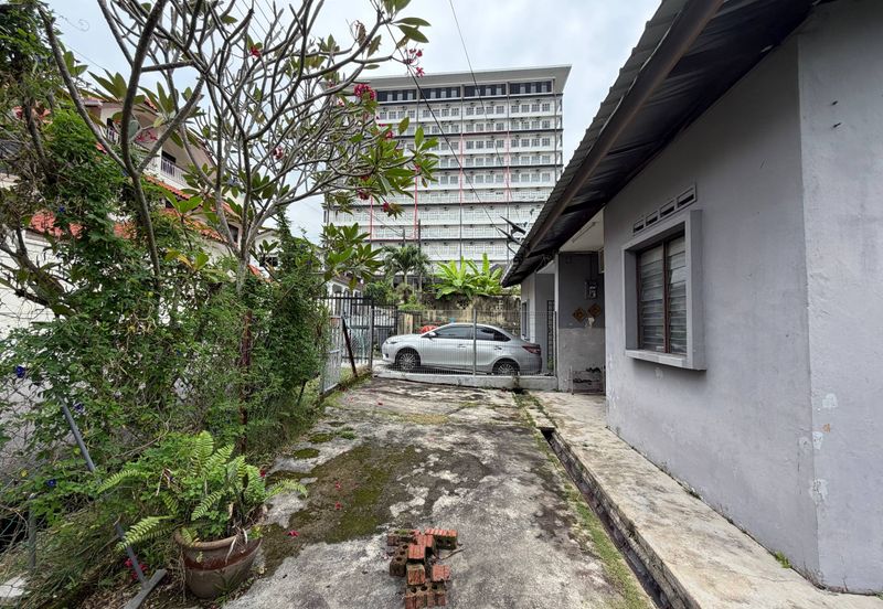 Stulang Laut / Darat