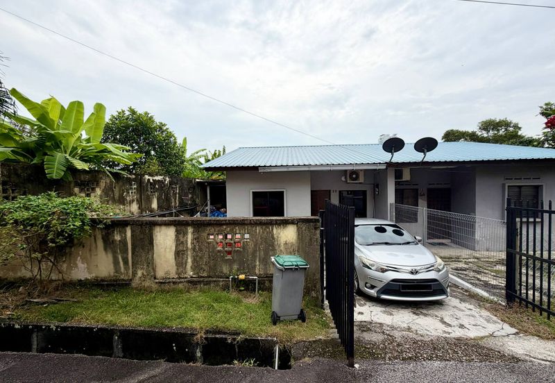 Stulang Laut / Darat