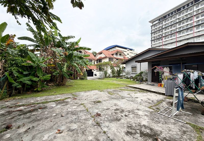 Stulang Laut / Darat