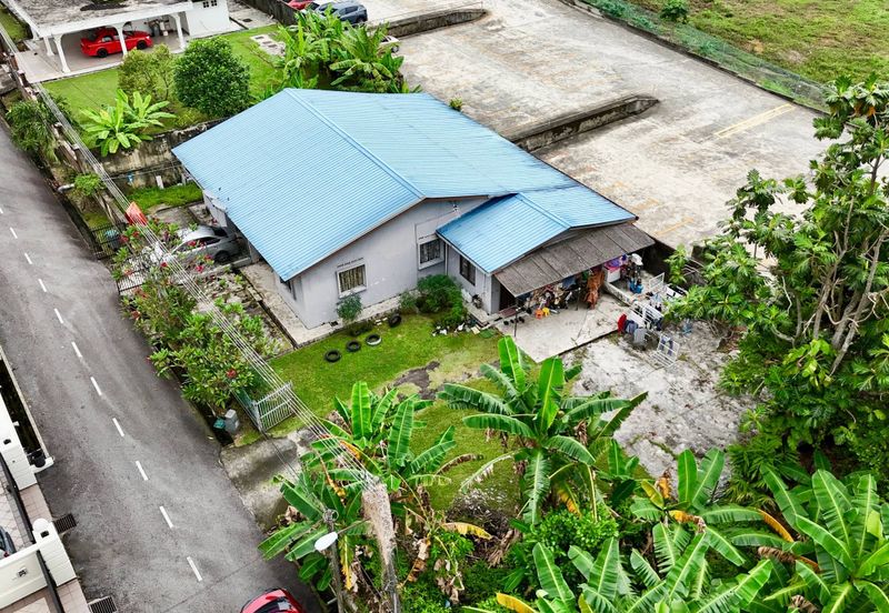 Stulang Laut / Darat