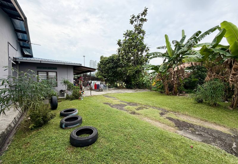 Stulang Laut / Darat