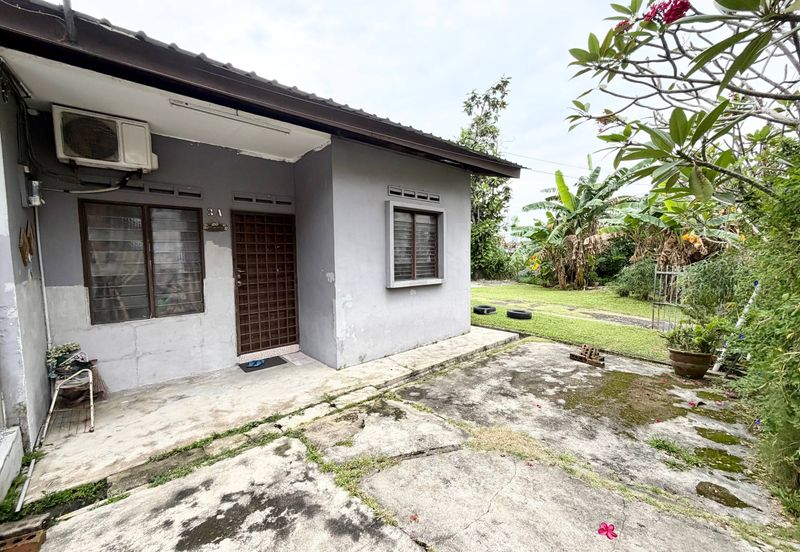 Stulang Laut / Darat