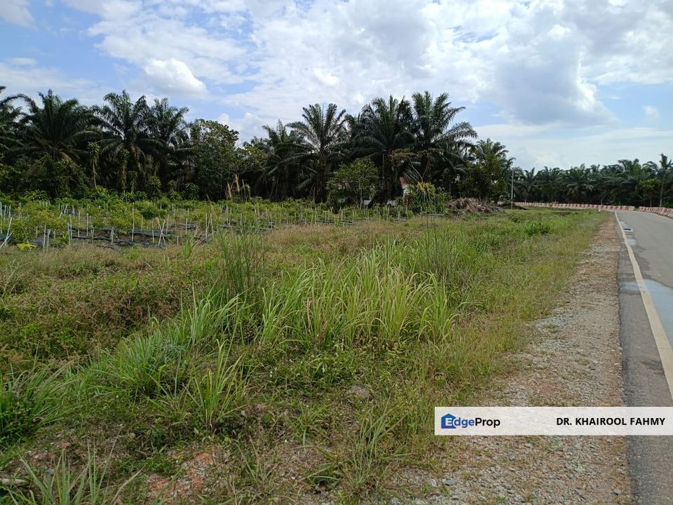 Tanah Pertanian Bukit Nyamuk Simpang Renggam Tepi Jalan, Johor, Kluang