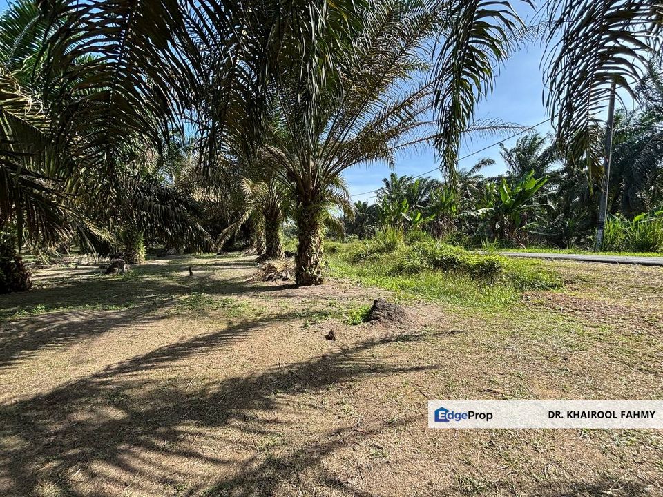 Tanah Pertanian Kampung Keluarga Bahagia Simpang Renggam Tepi Jalan Utama, Johor, Kluang