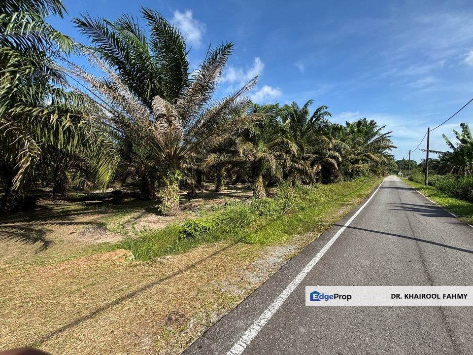 Tanah Pertanian Kampung Keluarga Bahagia Simpang Renggam Tepi Jalan Utama, Johor, Kluang