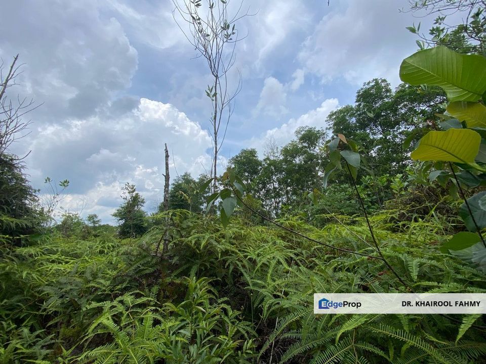 Residential Bungalow Lot NON BUMI Taman Kota Masai Pasir Gudang, Johor, Pasir Gudang