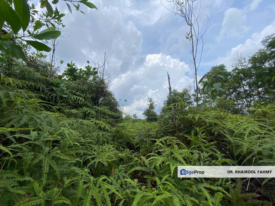 Residential Bungalow Lot NON BUMI Taman Kota Masai Pasir Gudang, Johor, Pasir Gudang