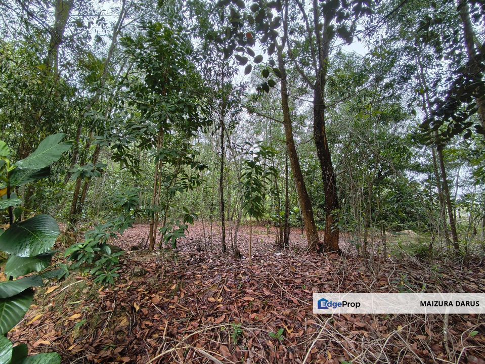 Tanah Lot Banglo Bandar Tasik Kesuma Jalan 5/4, Beranang, Selangor, Semenyih