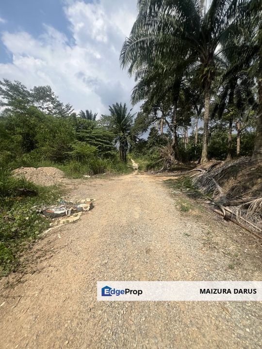 Tanah Pertanian Geran Individu di Taman Desa Sentosa, Teras Jernang, Bangi, Selangor, Bangi