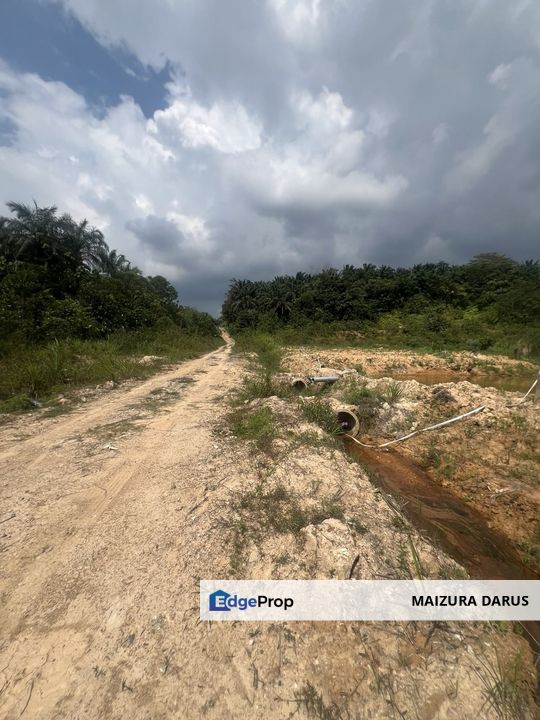 Tanah Pertanian Geran Individu di Taman Desa Sentosa, Teras Jernang, Bangi, Selangor, Bangi