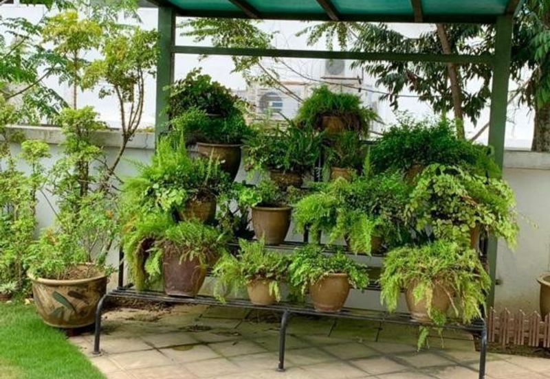 Rawang Anggun 2 •7121sqft•Bungalow with Lift