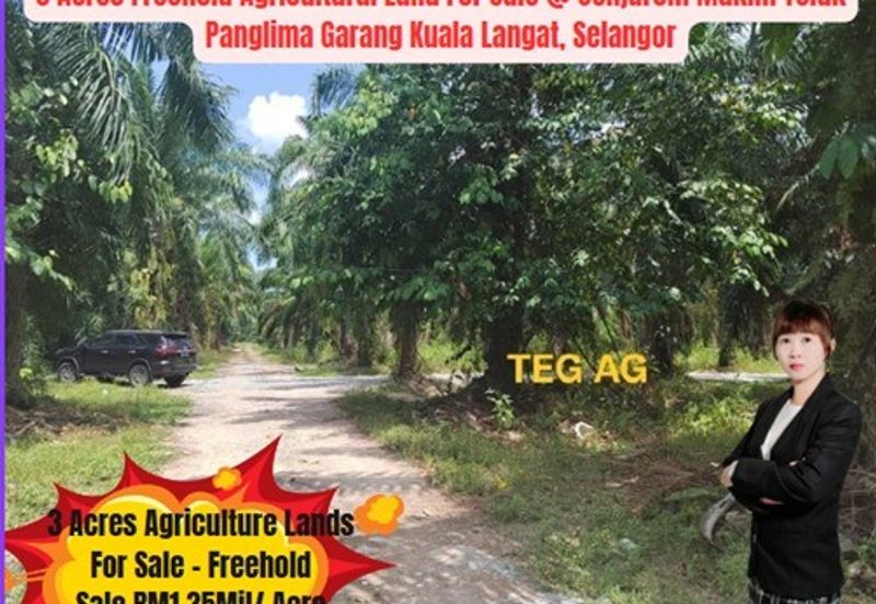 Teluk Panglima Garang