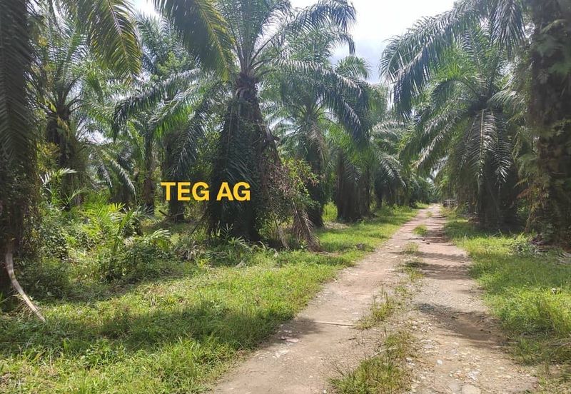 Teluk Panglima Garang