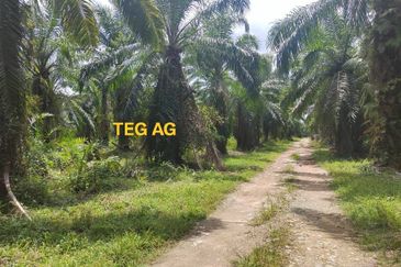 Teluk Panglima Garang