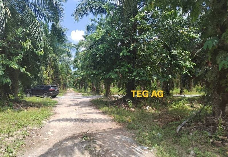 Teluk Panglima Garang