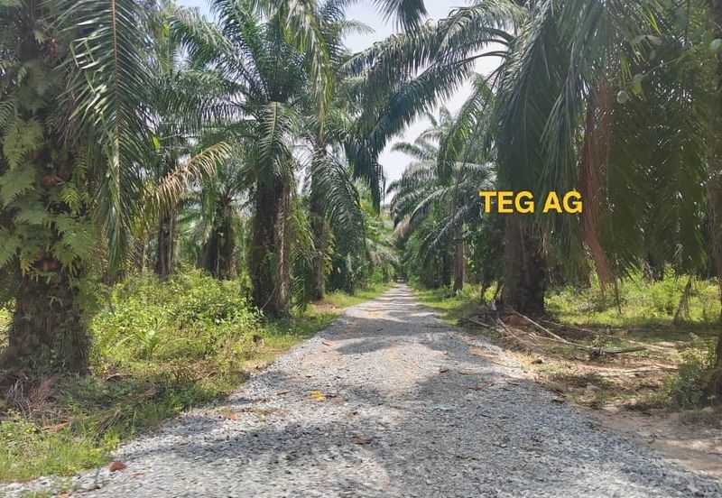 Teluk Panglima Garang