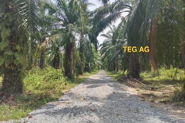 Teluk Panglima Garang