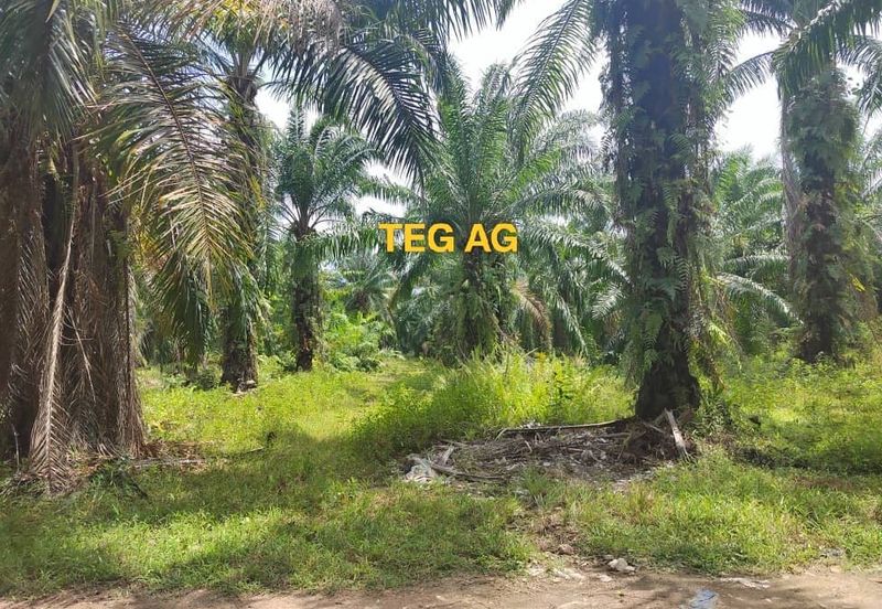 Teluk Panglima Garang