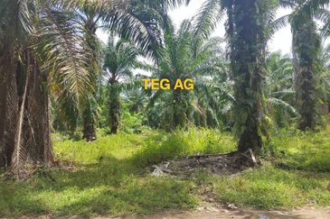 Teluk Panglima Garang