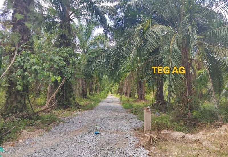 Teluk Panglima Garang