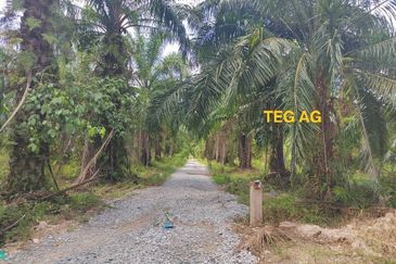 Teluk Panglima Garang