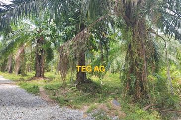 Teluk Panglima Garang