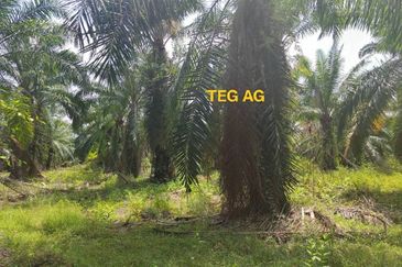 Teluk Panglima Garang