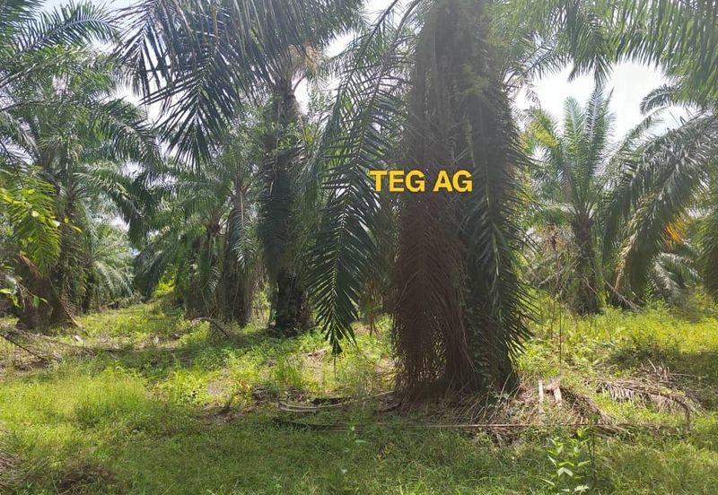 Teluk Panglima Garang