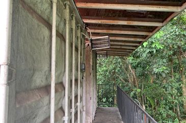 Puchong Meranti Agriculture Land For Rent | 3 Acres | With Utilities & Container Setup 农业地出租 | 水电齐全+集装箱办公室 + 3 英亩地