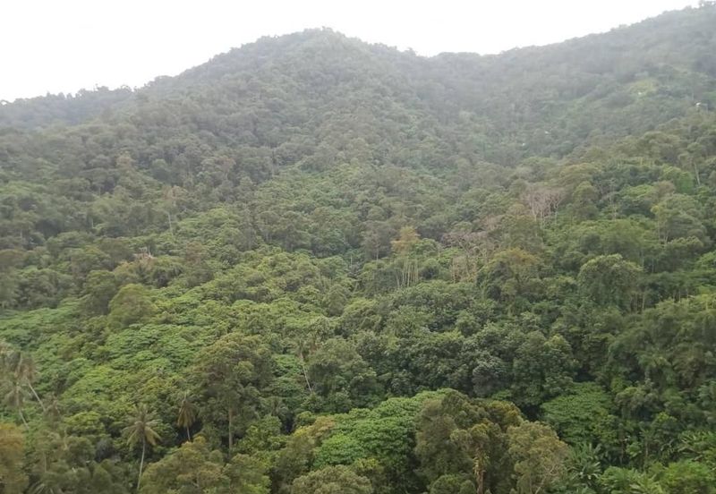 Starhill Luxury Residences