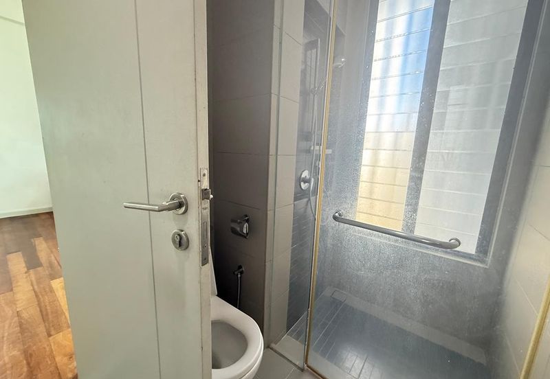 The Light Collection III