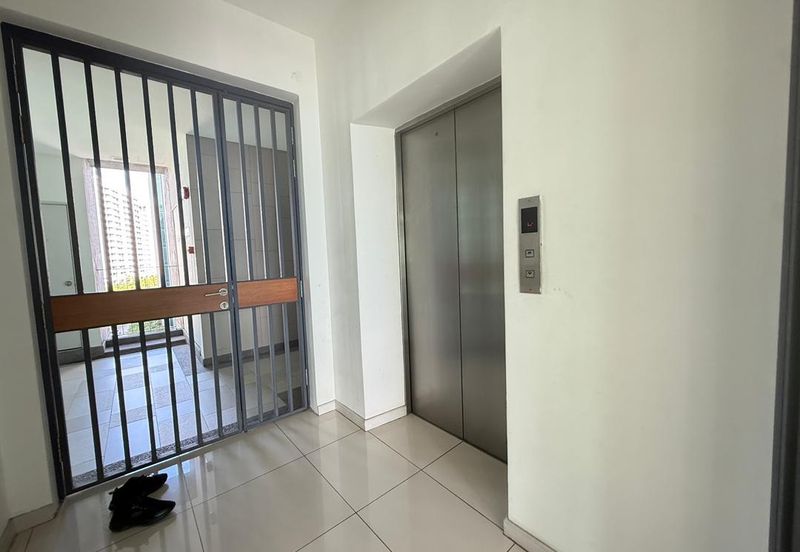 The Light Collection III