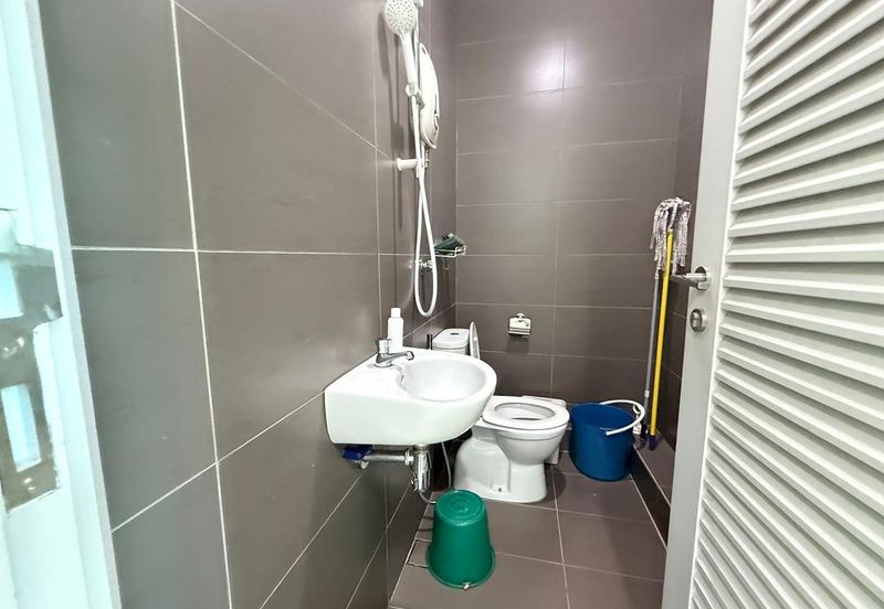 The Light Collection III