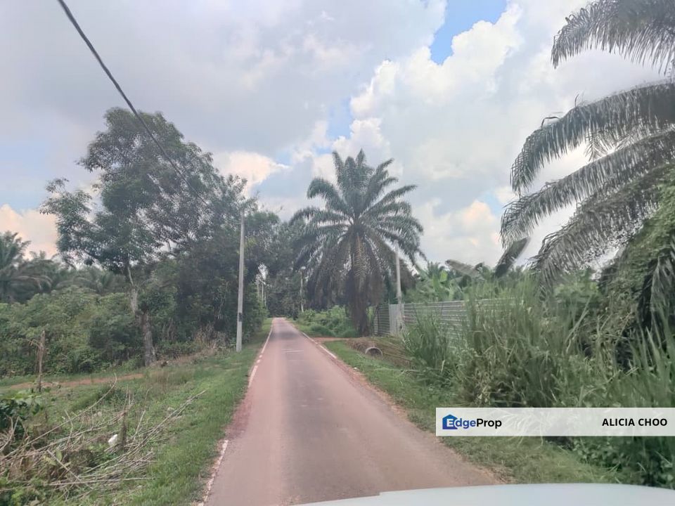 Simpang Renggam 1.75 ekar land for sales, Johor, Kluang