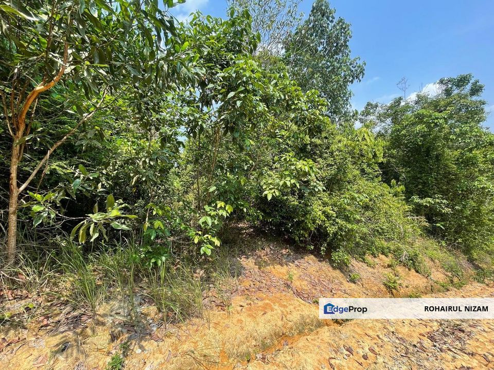 AMPANG TINGGI KUALA PILAH TANAH LOT BANGUNAN GERAN INDIVIDU FOR SALE, Negeri Sembilan, Kuala Pilah