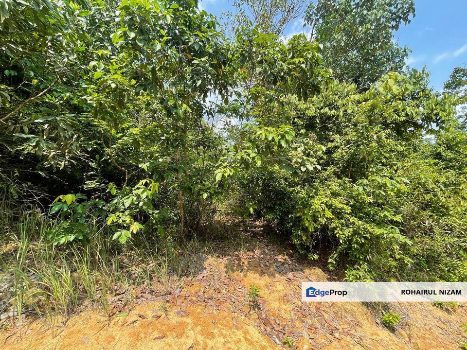 AMPANG TINGGI KUALA PILAH TANAH LOT BANGUNAN GERAN INDIVIDU FOR SALE, Negeri Sembilan, Kuala Pilah