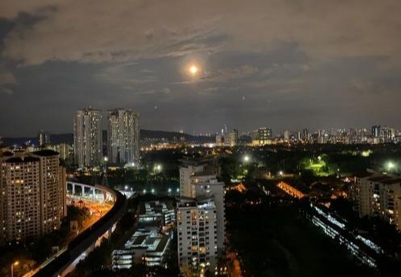 Dianthus @ Tropicana Gardens