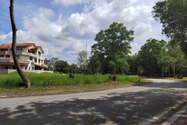 Bukit Jelutong