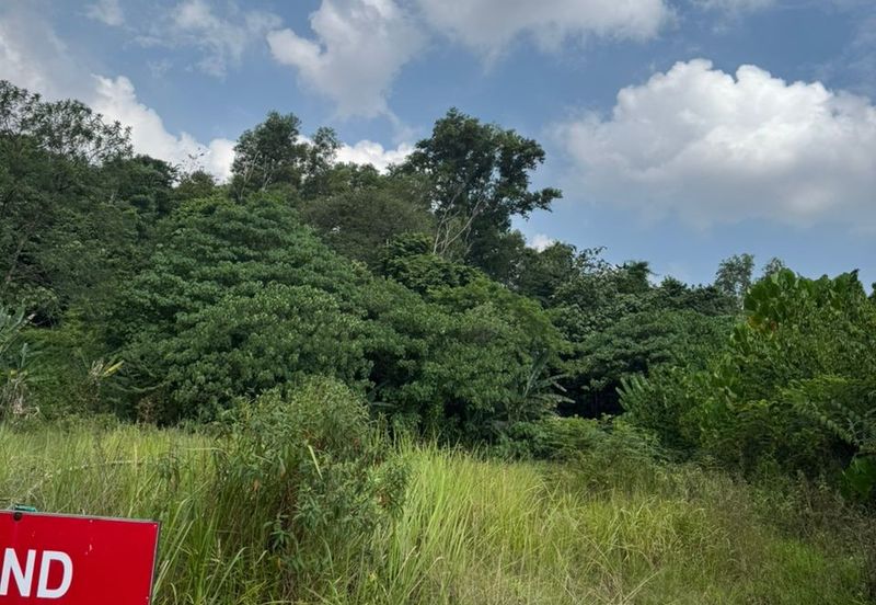 Seksyen 11, Kota Damansara