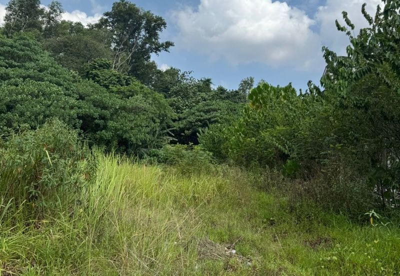 Seksyen 11, Kota Damansara