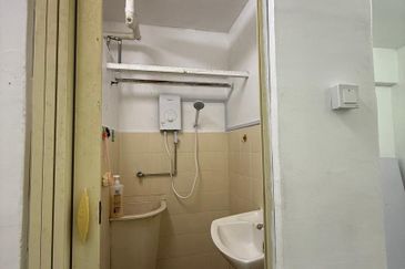 Green Garden, Paya Terubong